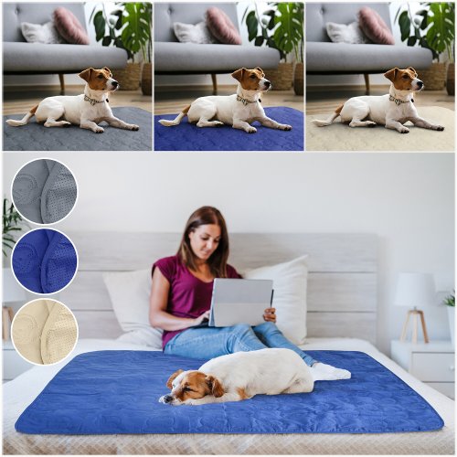 CozyPaws Reversible Pet Blanket