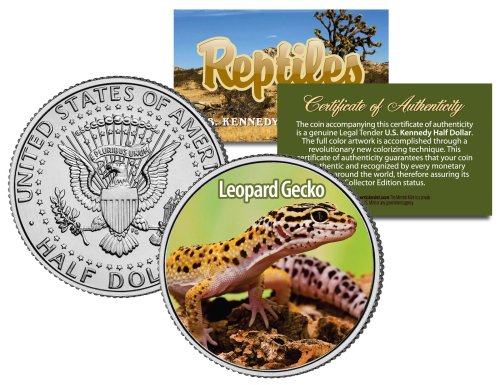 Spotted Gecko Coin Pet