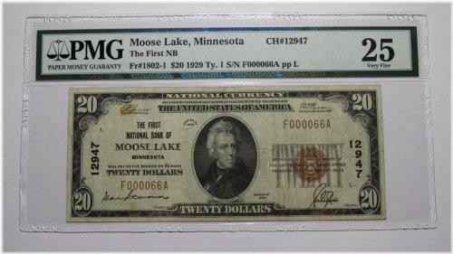 Moose Lake Minnesota $20 National Currency Bank Note