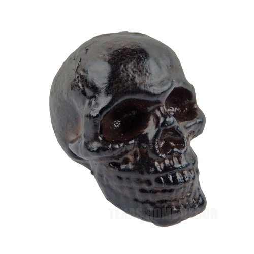 Rustic Iron Human Skull Paperweight