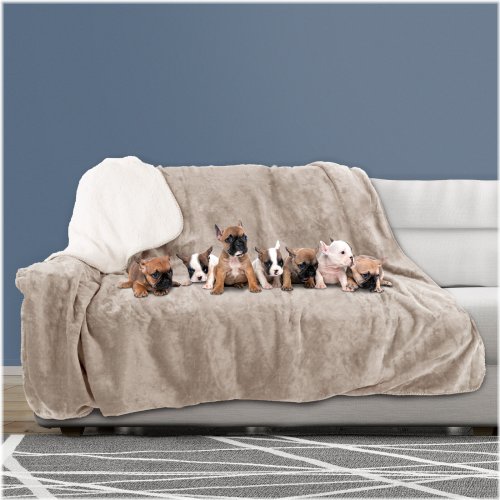 Tan Shield Pet Throw - 70 x 60 Waterproof Blanket for Couch, Car, and Bed