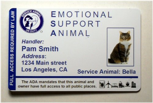 Companion Credentials for Feline Friends