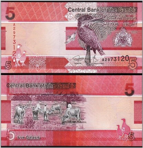 African Nations Currency Collection