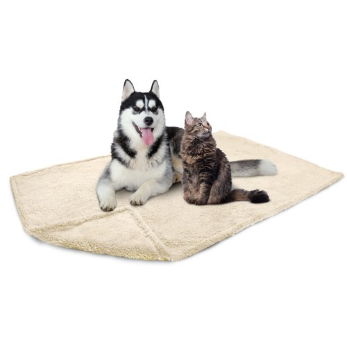 CozyPaws Pet Protector Blanket