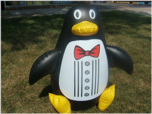 Arctic Adventure Inflatable Penguin