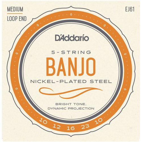 Nickel Wound Medium Gauge Banjo Strings by D'Addario USA