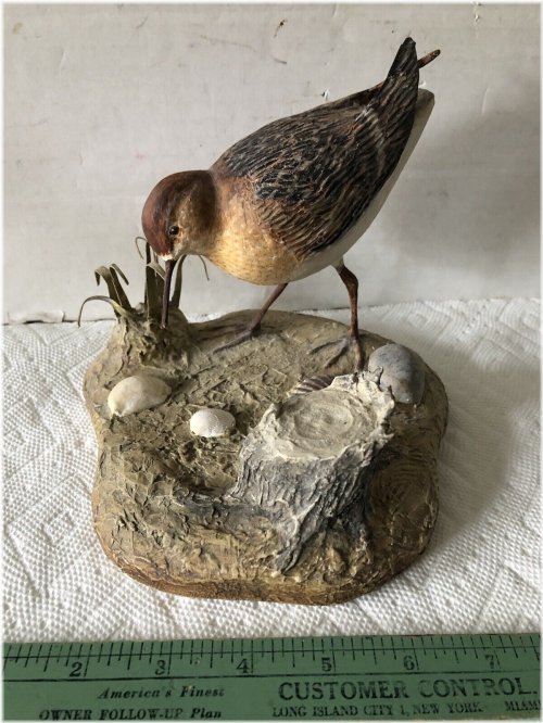 Cape Cod Dowitcher Sandpiper Diorama by Lewis Robichaud