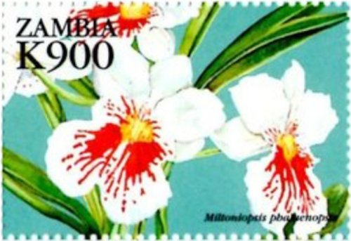 Zambia Orchids Stamp Collection
