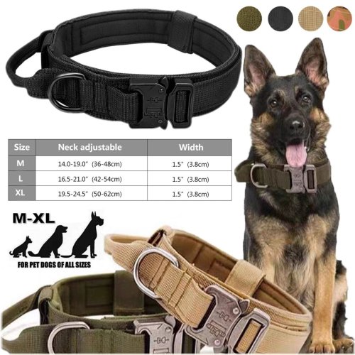 Nylon Defender Collar with Metal Buckle