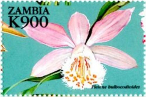 Zambia Orchids Stamp Collection
