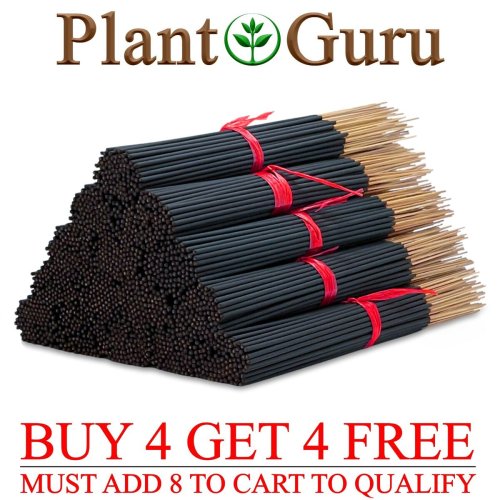 Aromatic Assortment of Hand-Dipped Incense Sticks