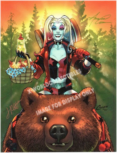 Dynamic Duo: Harley Quinn #27 Art Print