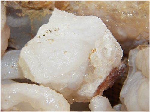 White Fire Agate Rough Bundle with Bonus Faceted Gemstone