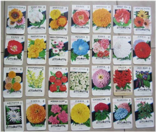 Vintage Flower Seed Packet Collection