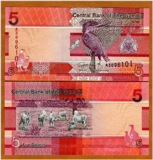 Gambia Bird 5 Dalasis Paper Note