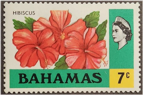 Bahamian Blue Coral Stamp