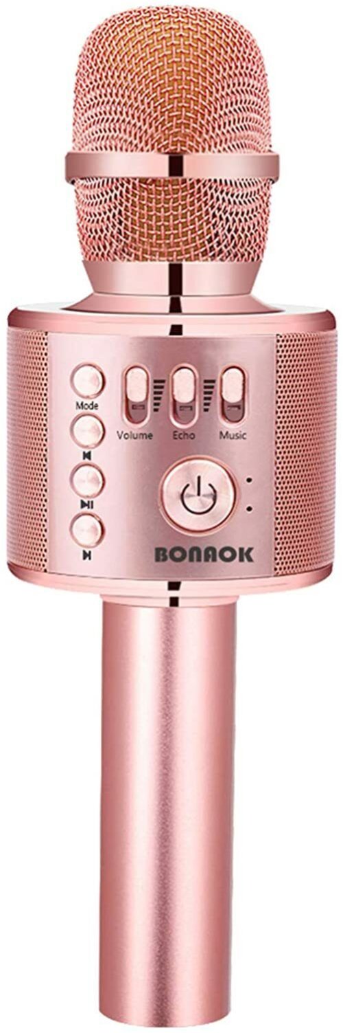 Rose Gold Karaoke Microphone and Speaker