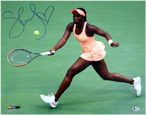 Champion's Signature Collection