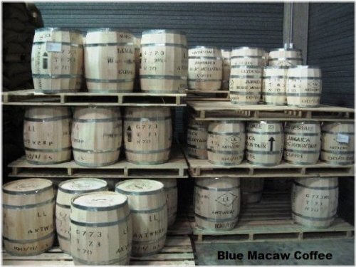 Blue Mountain Bliss Coffee Beans