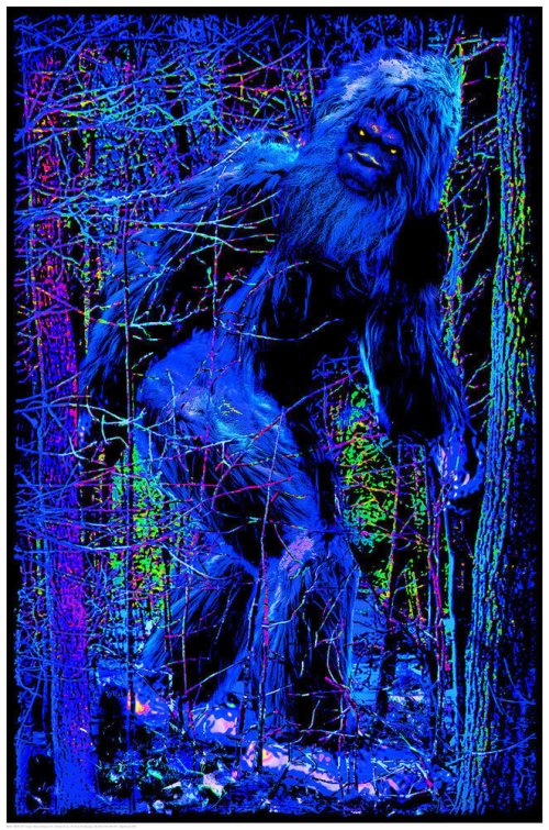 Majestic Night Vision Art Print