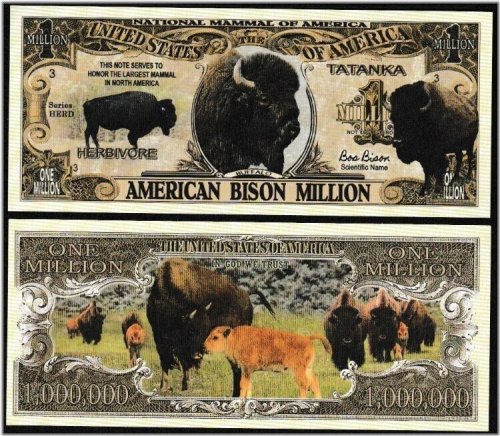 American Bison Million Dollar Notes - Set of 2