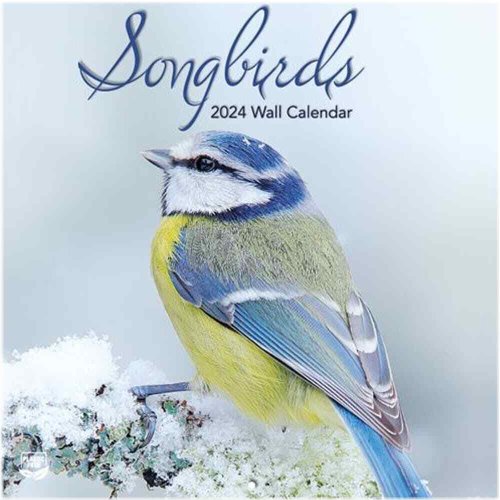 Songbirds Photo 2024 Mini Wall Calendar