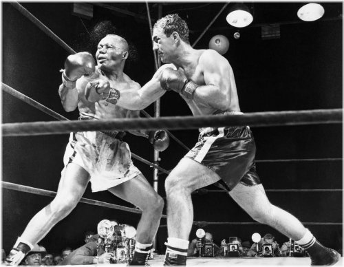 Champion Legends 8x10 Glossy Photo