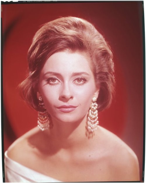 Vintage Snapshot Collection: Elizabeth Ashley's Timeless Glamour