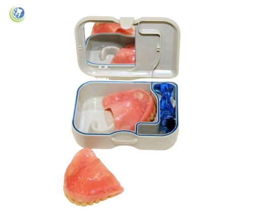 Oral Care Kit with Mirror and Cleaning Brush - 1 PC