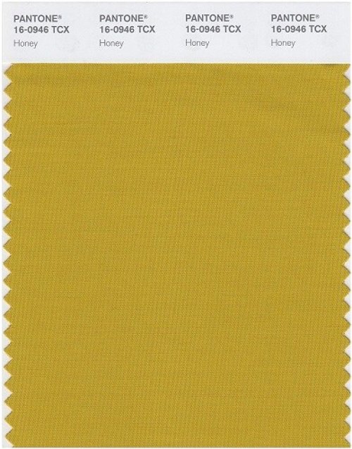 Honey Color Swatch Card