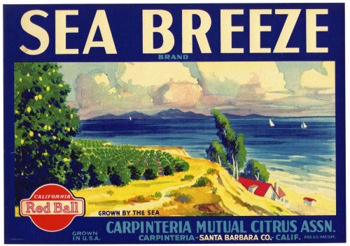 Nautical Citrus Crate Label