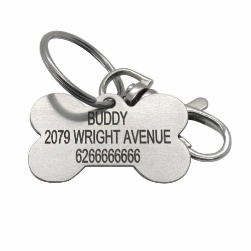 Engraved Pet ID Charm - Double Sided Personalized Tag for Dogs and Cats