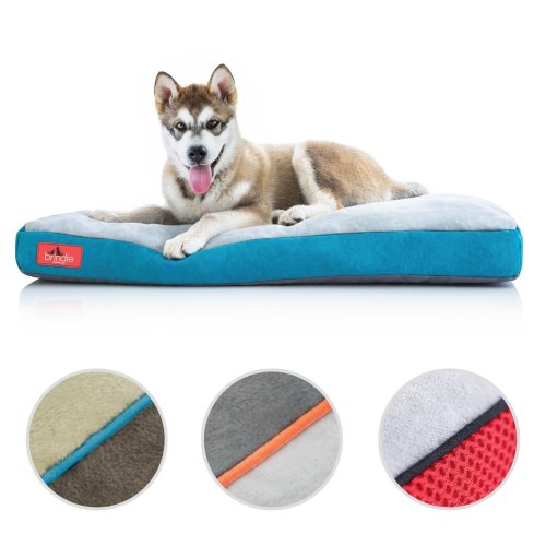 Memory Paws Pet Bed