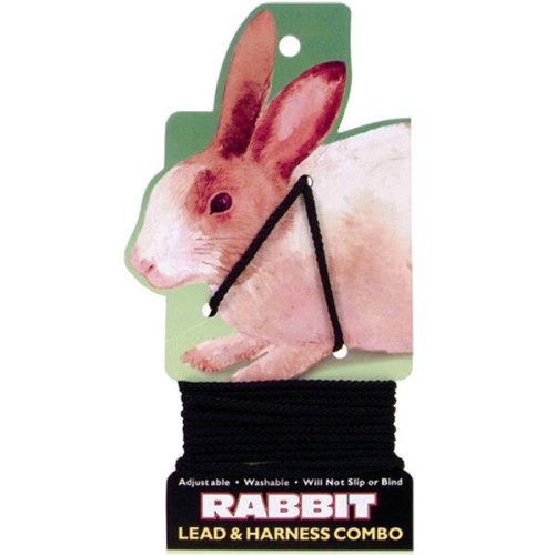 Coastal Rabbit Adventure Set