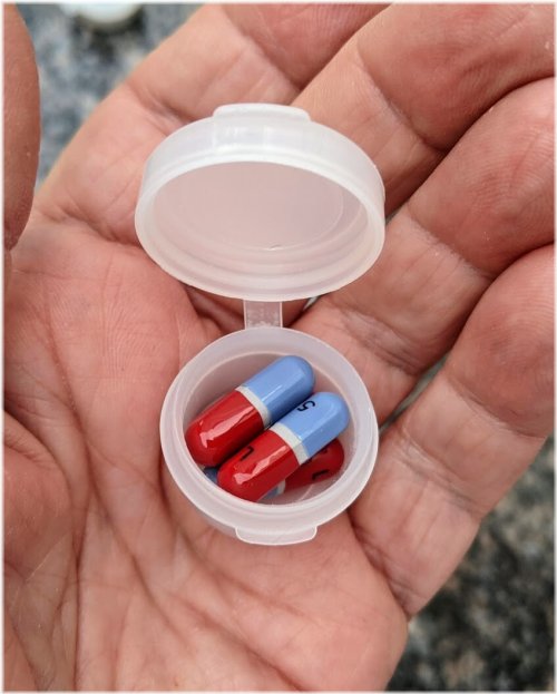 Mini Hinged Pill Pods Set