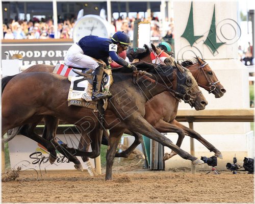 Mystik Dan 2024 Kentucky Derby Winner Photo