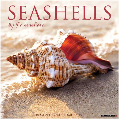 Seashells 2025 Wall Calendar