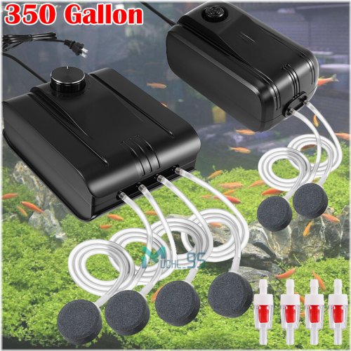 WhisperFlow Oxygen Pump